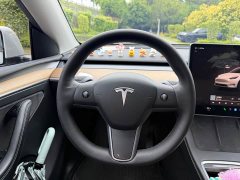 Tesla Model Y Rear-Wheel Drive - ფოტო 13