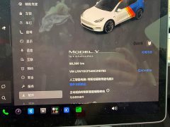Tesla Model Y Rear-Wheel Drive - ფოტო 15
