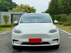 Tesla Model Y Rear-Wheel Drive - ფოტო 2