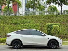 Tesla Model Y Rear-Wheel Drive - ფოტო 4