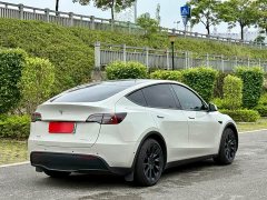 Tesla Model Y Rear-Wheel Drive - ფოტო 5