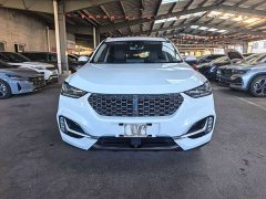 Great Wall WEY VV6 2.0T Two-Wheel Drive Smart Protection - фото 2