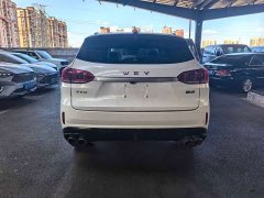 Great Wall WEY VV6 2.0T Two-Wheel Drive Smart Protection - фото 8