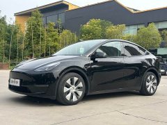 Tesla Model Y Long Range All-Wheel Drive 3D7 - ფოტო 1
