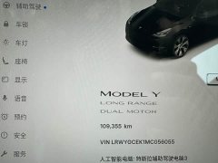 Tesla Model Y Long Range All-Wheel Drive 3D7 - ფოტო 16