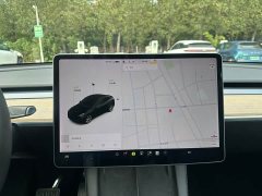 Tesla Model Y Long Range All-Wheel Drive 3D7 - ფოტო 19