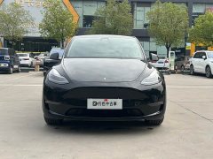 Tesla Model Y Long Range All-Wheel Drive 3D7 - ფოტო 2