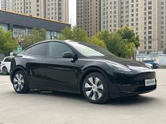 Tesla Model Y Long Range All-Wheel Drive 3D7 - ფოტო 3