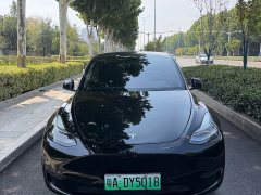 Tesla Model Y Long Range All-Wheel Drive 3D7 - ფოტო 1