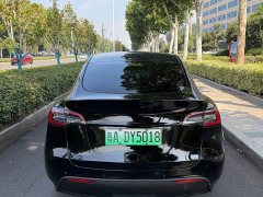 Tesla Model Y Long Range All-Wheel Drive 3D7 - ფოტო 11