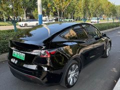 Tesla Model Y Long Range All-Wheel Drive 3D7 - ფოტო 12