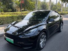Tesla Model Y Long Range All-Wheel Drive 3D7 - ფოტო 2