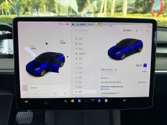 Tesla Model Y Long Range All-Wheel Drive 3D7 - ფოტო 7