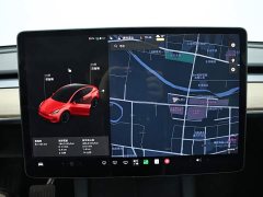 Tesla Model Y Long Range All-Wheel Drive 3D7 - ფოტო 15