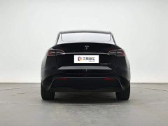 Tesla Model Y Long Range All-Wheel Drive 3D7 - ფოტო 4