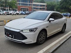BYD Qin Plus Glory Edition DM-i 120KM Exceed - photo 1