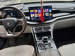 BYD Qin Plus Glory Edition DM-i 120KM Exceed - photo 4