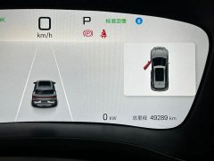 BYD Song Plus New Energy EV Glorious Edition 520km Luxury - photo 13