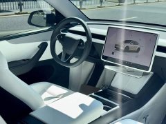 Tesla Model Y Rear-Wheel Drive - ფოტო 2