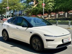 Tesla Model Y Rear-Wheel Drive - ფოტო 3