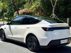 Tesla Model Y Rear-Wheel Drive - ფოტო 8