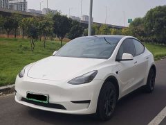 Tesla Model Y Rear-Wheel Drive - ფოტო 1