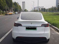 Tesla Model Y Rear-Wheel Drive - ფოტო 12
