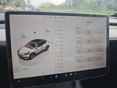 Tesla Model Y Rear-Wheel Drive - ფოტო 14