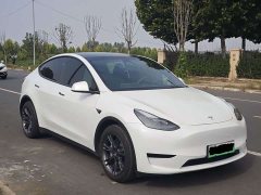 Tesla Model Y Rear-Wheel Drive - ფოტო 3