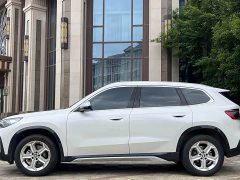 BMW X1 sDrive20Li X Design Package - ფოტო 5