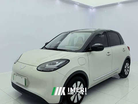 2023 Wuling Binguo 333km Joy Edition - car from China
