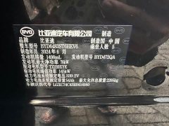 BYD Song Plus New Energy Glory Edition DM-i 110km Flagship Plus - photo 17
