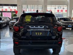 Haval Big Dog PLUS 2.0T AWD Trendy Wilderness Plus - фото 9