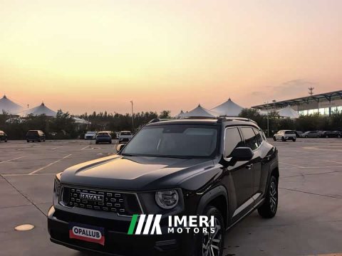 2025 Haval Big Dog PLUS 1.5T Two-Wheel Drive Trendy Wilderness Edition Plus - ავტომობილი ჩინეთიდან