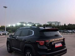 Haval Big Dog PLUS 1.5T Two-Wheel Drive Trendy Wilderness Edition Plus - фото 5