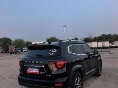 Haval Big Dog PLUS 1.5T Two-Wheel Drive Trendy Wilderness Edition Plus - фото 6