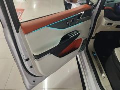 Buick GL8 Luzun Respect Edition - ფოტო 7