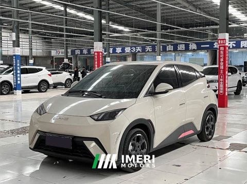 2024 BYD Seagull 305km Freedom Edition - ავტომობილი ჩინეთიდან