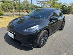 Tesla Model Y Rear-Wheel Drive - ფოტო 1