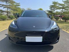 Tesla Model Y Rear-Wheel Drive - ფოტო 2