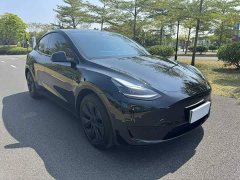 Tesla Model Y Rear-Wheel Drive - ფოტო 3