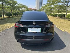 Tesla Model Y Rear-Wheel Drive - ფოტო 8