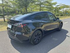 Tesla Model Y Rear-Wheel Drive - ფოტო 9