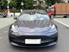 Tesla Model 3 Standard Range RWD Upgrade - ფოტო 2