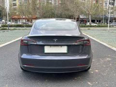 Tesla Model 3 Standard Range RWD Upgrade - ფოტო 8