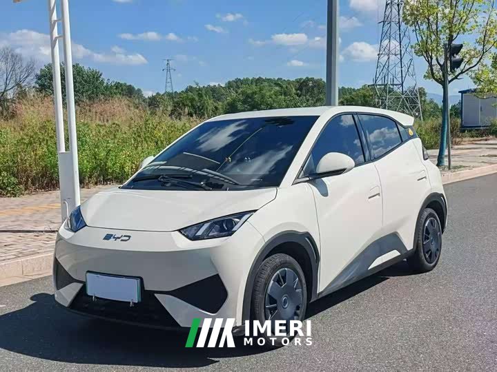BYD Seagull 305km Vitality Edition - car from China