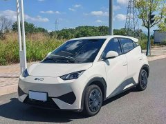 BYD Seagull 305km Vitality Edition - photo 1