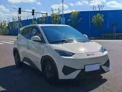 BYD Seagull 305km Vitality Edition - photo 3