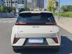 BYD Seagull 305km Vitality Edition - photo 8