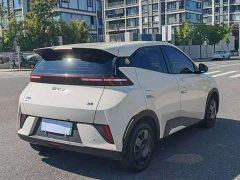 BYD Seagull 305km Vitality Edition - photo 9